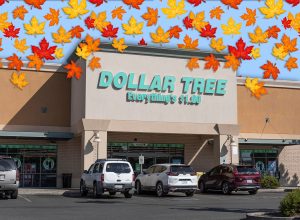 11 Best New Dollar Tree Fall Kitchen Finds for $1.50. Prescott - Circa September 2021: Dollar Tree Discount Store. Dollar Tree offers an eclectic mix of products for a dollar.