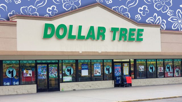 11 Best New Dollar Tree Finds Hitting Shelves in August. Dollar Tree [SE location] - Dollar Tree with new signage on the facade (Cheyenne, Wyoming, USA) - 05302020