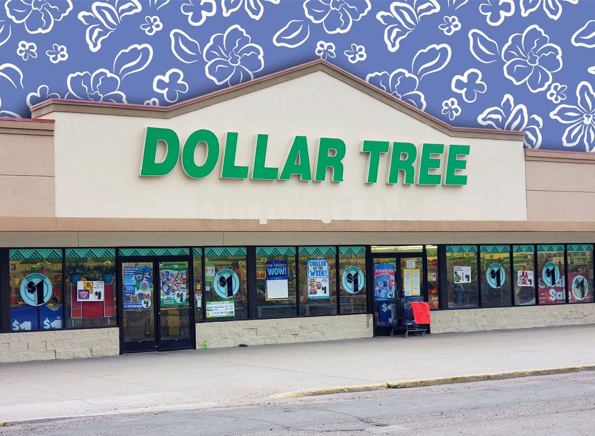 11 Best New Dollar Tree Finds Hitting Shelves in August
