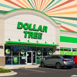 11 Best New Dollar Tree Finds Hitting Shelves in Mid-July. Cary, North Carolina - October 19 2025: Dollar Tree Storefront Exterior Building Shopping Center