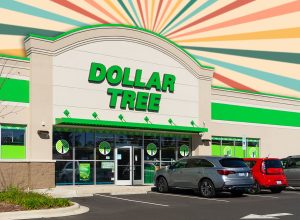 11 Best New Dollar Tree Finds Hitting Shelves in Mid-July. Cary, North Carolina - October 19 2025: Dollar Tree Storefront Exterior Building Shopping Center