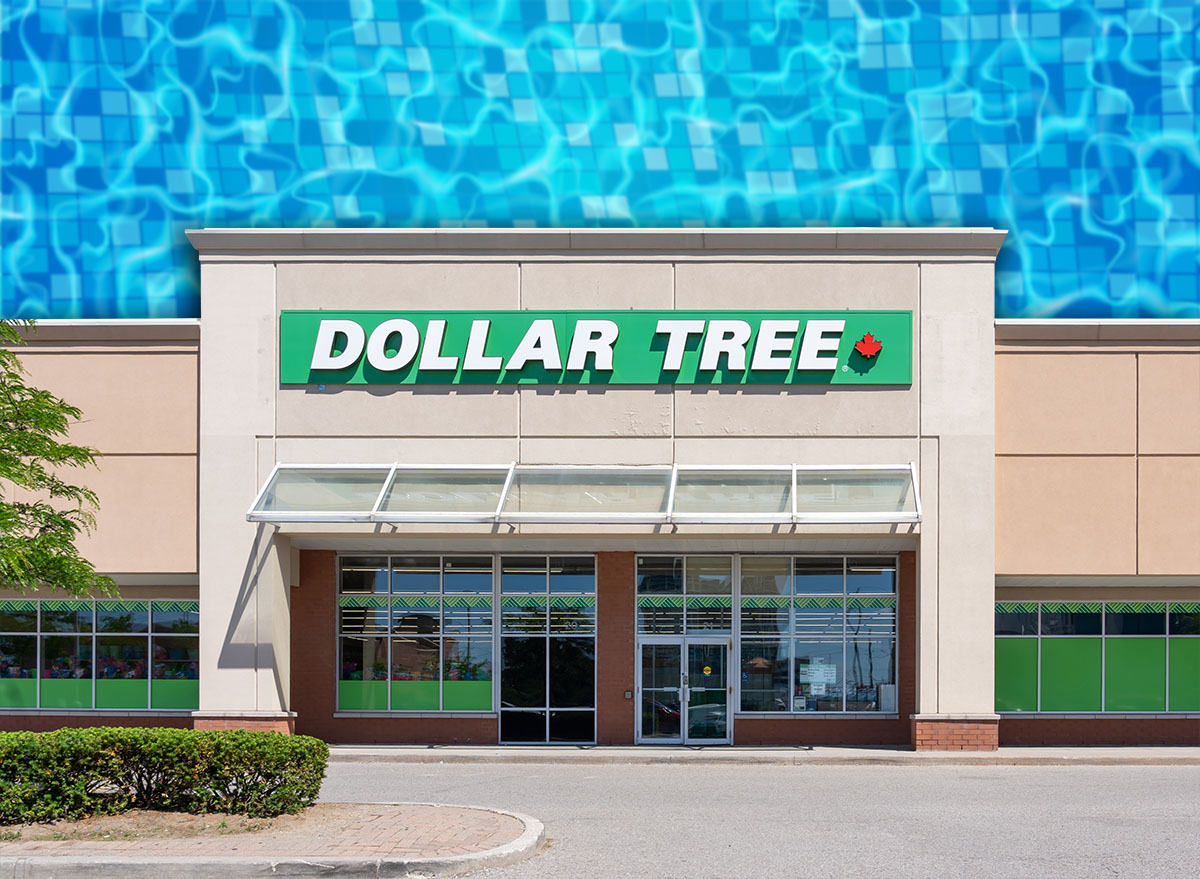 11 Best New Dollar Tree Finds Under $5 Flying Off Shelves This July. Vaughan, Ontario, Canada - June 13, 2026: A Dollar Tree retail store in Vaughan, Ontario, Canada. Dollar Tree is a North American discount variety store chain.