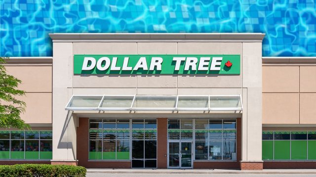 11 Best New Dollar Tree Finds Under $5 Flying Off Shelves This July. Vaughan, Ontario, Canada - June 13, 2026: A Dollar Tree retail store in Vaughan, Ontario, Canada. Dollar Tree is a North American discount variety store chain.