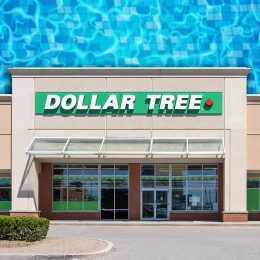 11 Best New Dollar Tree Finds Under $5 Flying Off Shelves This July. Vaughan, Ontario, Canada - June 13, 2026: A Dollar Tree retail store in Vaughan, Ontario, Canada. Dollar Tree is a North American discount variety store chain.