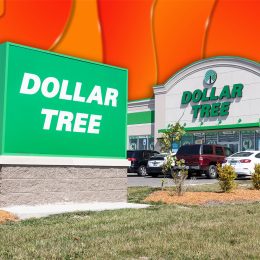 11 Best New Dollar Tree Kitchen Finds Under $1.50 Hitting Shelves Now. Muncie - Circa August 2021: Dollar Tree Discount Store. Dollar Tree offers an eclectic mix of products for a dollar.