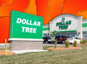 11 Best New Dollar Tree Kitchen Finds Under $1.50 Hitting Shelves Now. Muncie - Circa August 2021: Dollar Tree Discount Store. Dollar Tree offers an eclectic mix of products for a dollar.