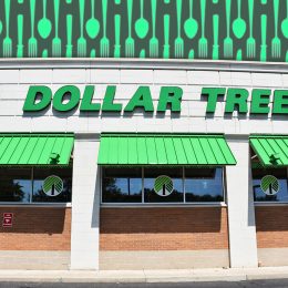 11 Best New Dollar Tree Kitchen Organizing Finds Under $3. Dollar Tree Store Exterior, Manassas, Virginia, USA, July 27, 2022