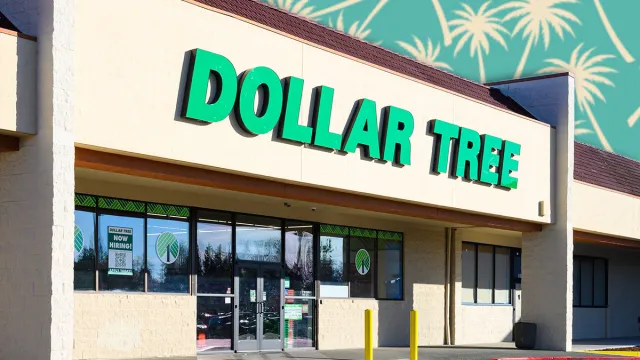 11 Best New Dollar Tree Organization Finds Under $3. Everett WA, USA - November 30, 2025; Dollar Tree retail store with green sign over entrance on facade