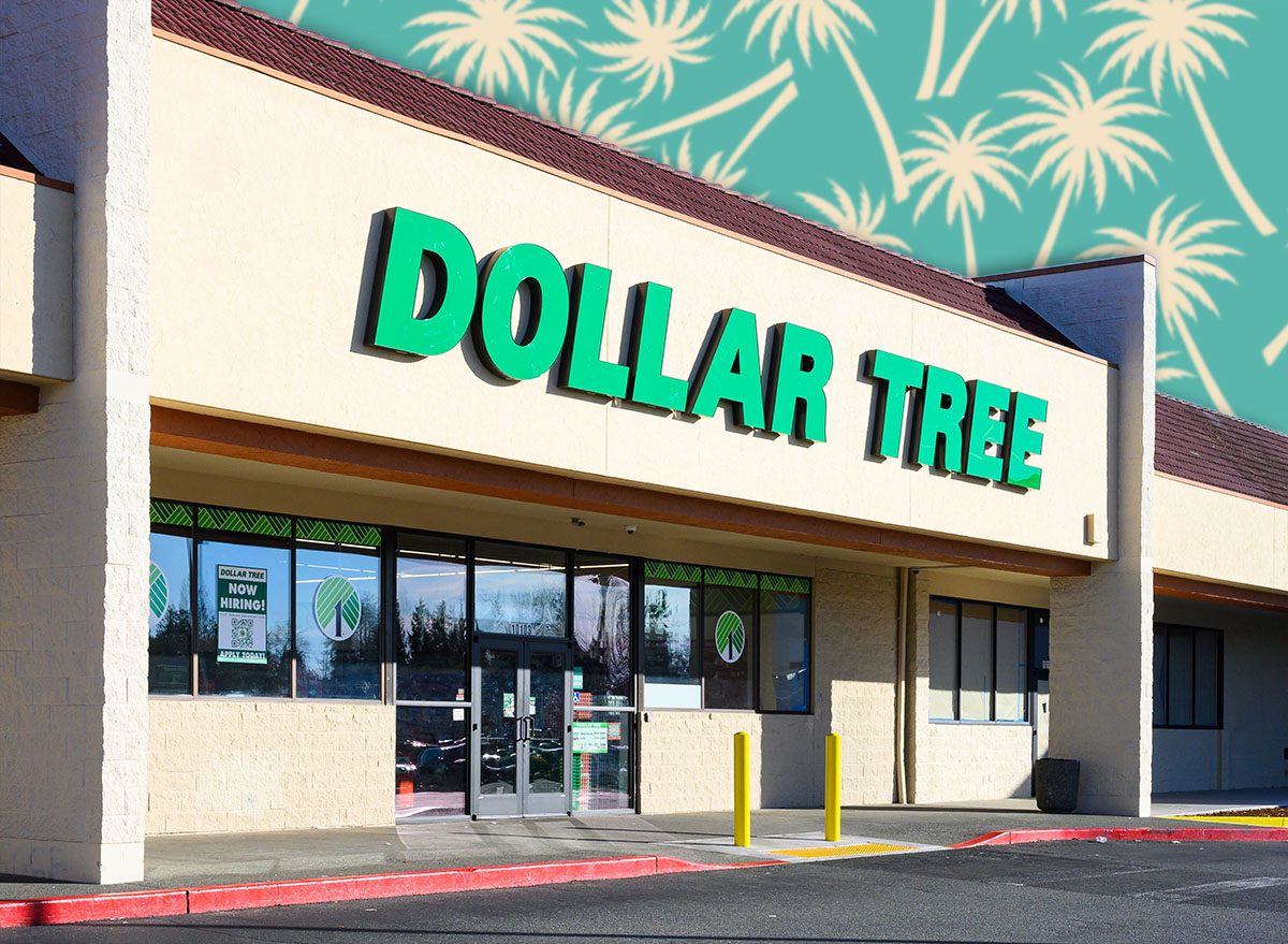 11 Best New Dollar Tree Organization Finds Under $3