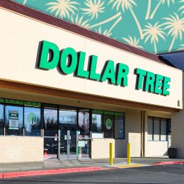 11 Best New Dollar Tree Organization Finds Under $3. Everett WA, USA - November 30, 2025; Dollar Tree retail store with green sign over entrance on facade