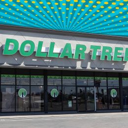 11 Best New Dollar Tree Wall Decor and Frame Finds Under $1.50. Greenwood - February 28, 2025: Dollar Tree Discount Store. Dollar Tree offers an eclectic mix of products for a dollar and a quarter. Or more.