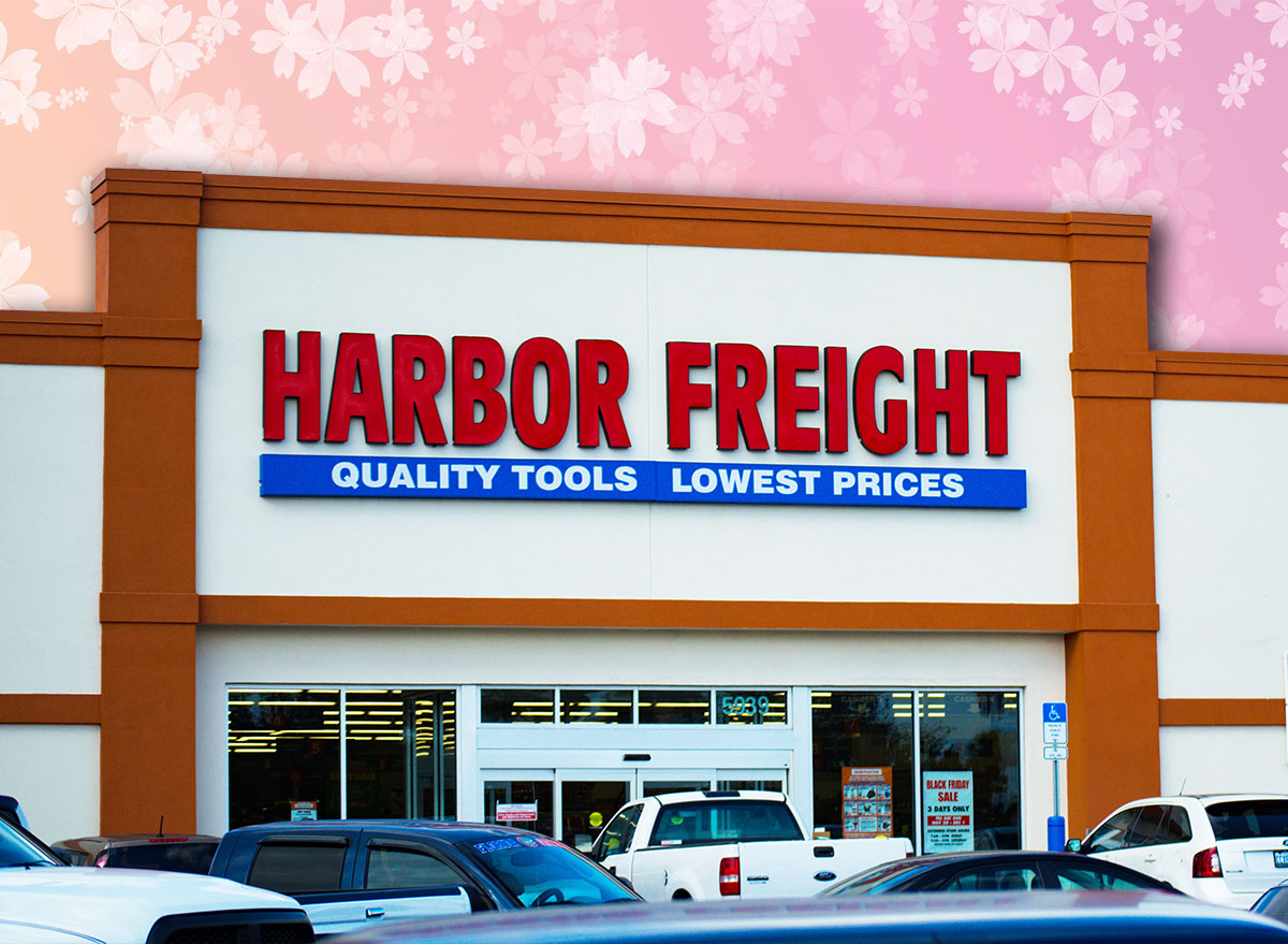 11 Best New Harbor Freight Finds Flying Off Shelves This Summer. Zephyrhills Florida, USA - December 1, 2019: Harbor Freight Store, Front of Store, Entrance and Signage