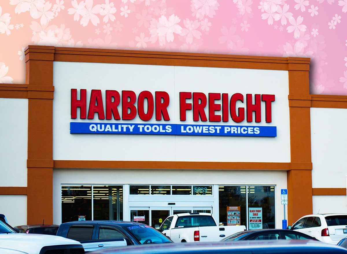 11 Best New Harbor Freight Finds Flying Off Shelves This Summer