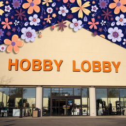 11 Best New Hobby Lobby Fall Floral, Wreaths and Stem Finds Under $26. Port Huron, Michigan, USA - October 10, 2018: Exterior of a Hobby Lobby store in Michigan. The national chain sells home decor, and arts and craft supplies.