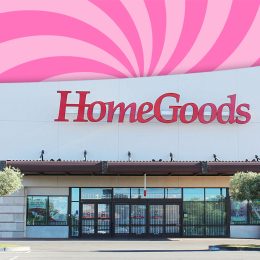 11 Best New HomeGoods Throw Pillow and Blanket Finds Under $40. Las Vegas, Nevada, USA, 05-16-2020
