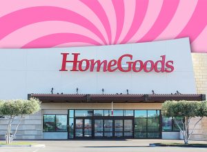 11 Best New HomeGoods Throw Pillow and Blanket Finds Under $40. Las Vegas, Nevada, USA, 05-16-2020