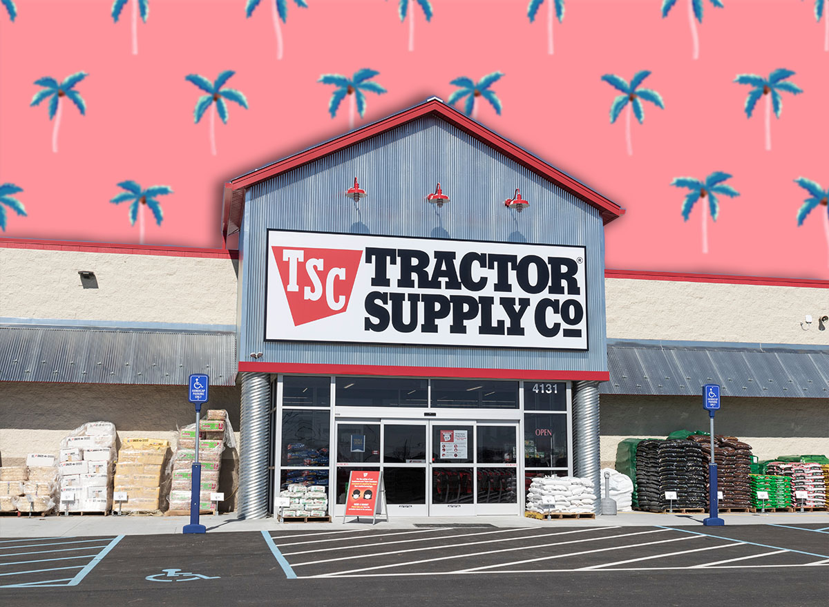 11 Best New Tractor Supply Backyard Oasis Finds