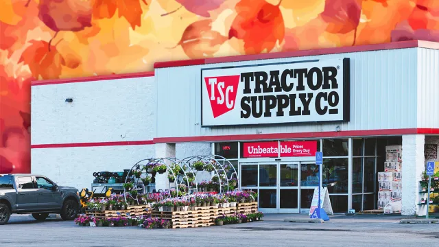 11 Best New Tractor Supply Fall Finds Hitting Shelves in July. Rome, NY - Jul 20, 2025: Tractor Supply Co., is the largest U.S. rural lifestyle retailer, offering products such as equipment, apparel and animal supplies. Founded in 1938 operates 2300 stores in USA
