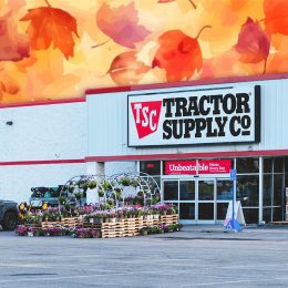 11 Best New Tractor Supply Fall Finds Hitting Shelves in July. Rome, NY - Jul 20, 2025: Tractor Supply Co., is the largest U.S. rural lifestyle retailer, offering products such as equipment, apparel and animal supplies. Founded in 1938 operates 2300 stores in USA