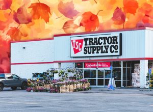 11 Best New Tractor Supply Fall Finds Hitting Shelves in July. Rome, NY - Jul 20, 2025: Tractor Supply Co., is the largest U.S. rural lifestyle retailer, offering products such as equipment, apparel and animal supplies. Founded in 1938 operates 2300 stores in USA