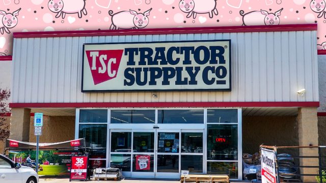 11 Best New Tractor Supply Farmhouse Decor Finds Under $25. Sicklerville, New Jersey- August, 2020: The front entrance of the Tractor Supply Company, a rural lifestyle store as seen on this date