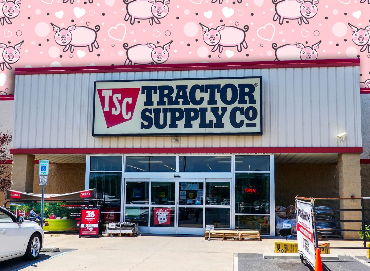 11 Best New Tractor Supply Farmhouse Decor Finds Under $25