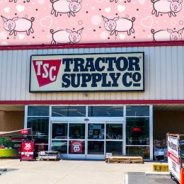 11 Best New Tractor Supply Farmhouse Decor Finds Under $25. Sicklerville, New Jersey- August, 2020: The front entrance of the Tractor Supply Company, a rural lifestyle store as seen on this date