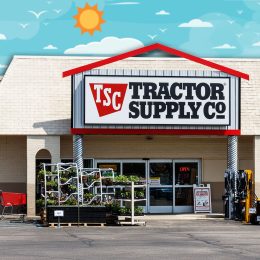11 Best New Tractor Supply Finds Flying Off Shelves This July. Tipton - Circa May 2019: Tractor Supply Company Retail Location. Tractor Supply is Listed on the NASDAQ under TSCO II
