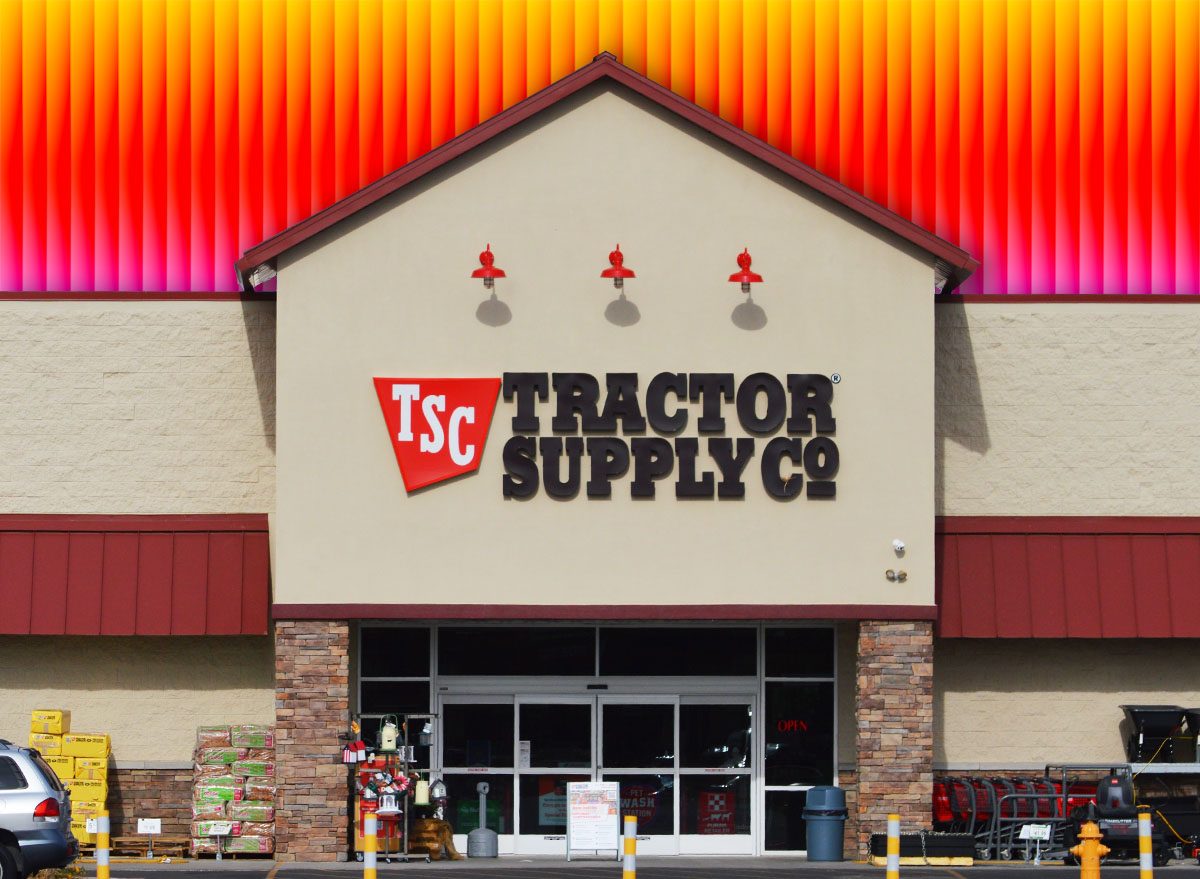 11 Best New Tractor Supply Finds Hitting Shelves in August