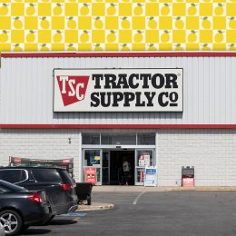 11 Best New Tractor Supply Finds Hitting Shelves in Late July. Wabash - Circa April 2021: Tractor Supply Company Retail Location. Tractor Supply is Listed on the NASDAQ under TSCO.