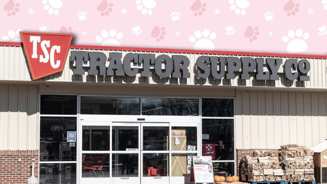 11 Best New Tractor Supply Pet Finds Under $20. Ft. Wayne - Circa November 2022: Tractor Supply Company Retail Location. Tractor Supply is Listed on the NASDAQ as TSCO.