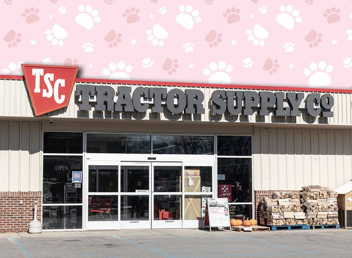 11 Best New Tractor Supply Pet Finds Under $20