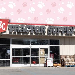 11 Best New Tractor Supply Pet Finds Under $20. Ft. Wayne - Circa November 2022: Tractor Supply Company Retail Location. Tractor Supply is Listed on the NASDAQ as TSCO.