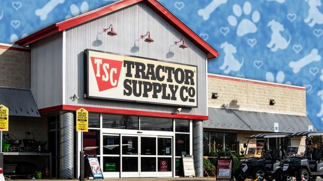 11 Best New Tractor Supply Pet and Yard Finds Under $30. California, Maryland USA Dec 4, 2023 The facade and logo of the Tractor Supply Company store, ot TSC.