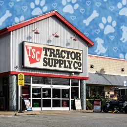 11 Best New Tractor Supply Pet and Yard Finds Under $30. California, Maryland USA Dec 4, 2023 The facade and logo of the Tractor Supply Company store, ot TSC.