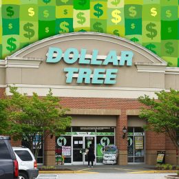 11 Dollar Tree Fall Decor DIYs That Look Way More Expensive. Wake Forest, NC- United States- 05-24-2021: A Dollar Tree retail location is seen from the outside.