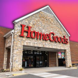 11 HomeGoods Finds That Look Like Anthropologie for Less. Cary North Carolina - February 12 2026: Homegoods Store Exterior With Logo Storefront Displaying Brand Signage And Retail Shopping Center Architecture
