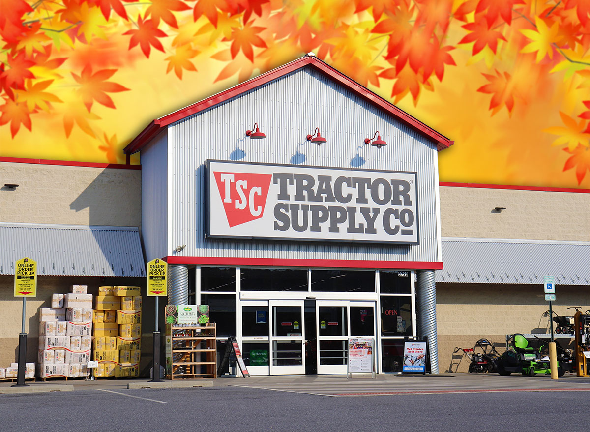 11 Tractor Supply Fall Finds That Look Like Pottery Barn for Less. Martinsburg, WV USA - 8-9-2023: Tractor Supply store front in the morning.