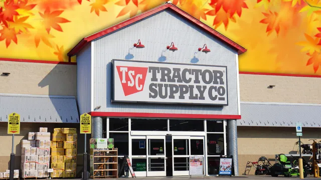 11 Tractor Supply Fall Finds That Look Like Pottery Barn for Less. Martinsburg, WV USA - 8-9-2023: Tractor Supply store front in the morning.