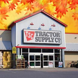 11 Tractor Supply Fall Finds That Look Like Pottery Barn for Less. Martinsburg, WV USA - 8-9-2023: Tractor Supply store front in the morning.