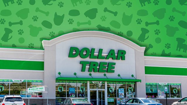 JOHNSON CITY, TN, USA-4/29/19: Dollar Tree is a chain of discount variety stores, headquartered in Chesapeake, Virginia, with over 14,000 stores in the U.S. and Canada.