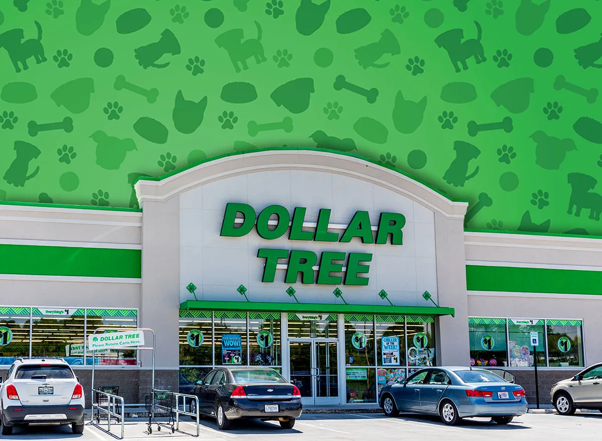 7 Best Dollar Tree Pet Finds Under $5 Hitting Shelves This Week