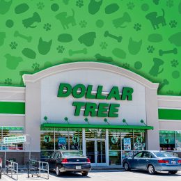 JOHNSON CITY, TN, USA-4/29/19: Dollar Tree is a chain of discount variety stores, headquartered in Chesapeake, Virginia, with over 14,000 stores in the U.S. and Canada.