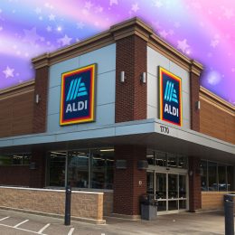 7 Best New Aldi Bedroom Finds Under $20. Apex, North Carolina - June 1 2025: ALDI German Supermarket Grocery Food Discount Store Storefront Apex NC Location