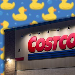 Apex, North Carolina - August 30 2025: Costco Wholesale Kirkland Signature Storefront Warehouse With Sunrise Sunset Parking Lot Pine Plaza