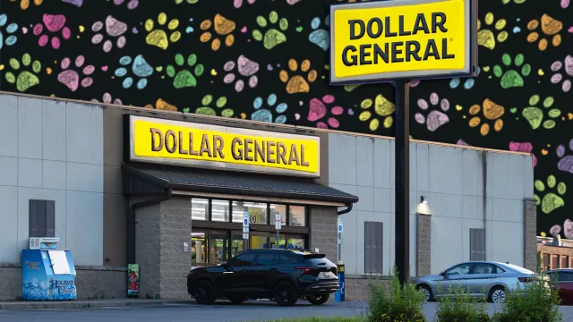 7 Best New Dollar General Pet Finds Under $10. Utica, NY - Jul 5, 2025: Twilight wide view of Dollar General store, is a popular discount retailer providing a wide range of everyday essentials, was established in 1939 with over 18000 now