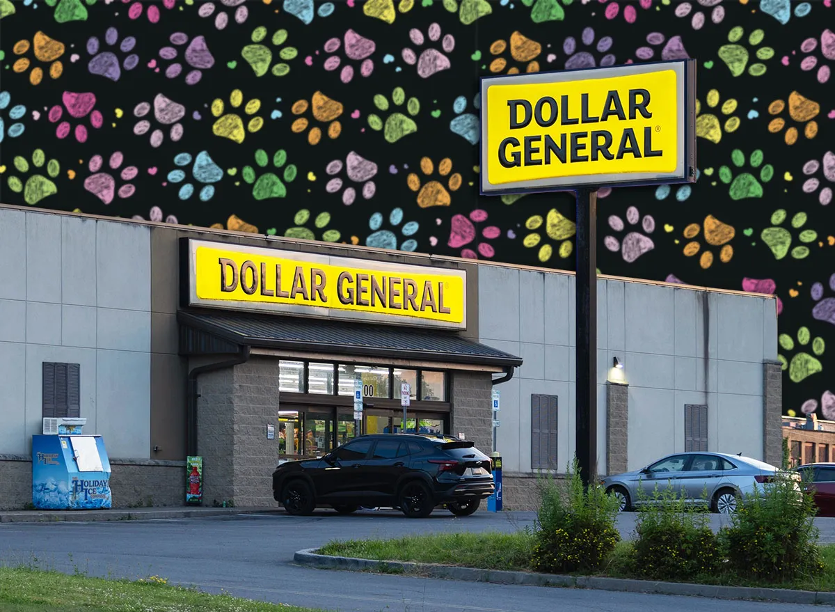 7 Best New Dollar General Pet Finds Under $10