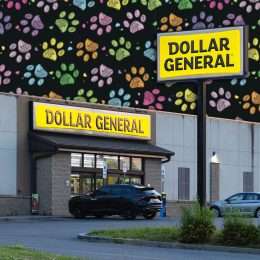 7 Best New Dollar General Pet Finds Under $10. Utica, NY - Jul 5, 2025: Twilight wide view of Dollar General store, is a popular discount retailer providing a wide range of everyday essentials, was established in 1939 with over 18000 now