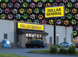 7 Best New Dollar General Pet Finds Under $10. Utica, NY - Jul 5, 2025: Twilight wide view of Dollar General store, is a popular discount retailer providing a wide range of everyday essentials, was established in 1939 with over 18000 now