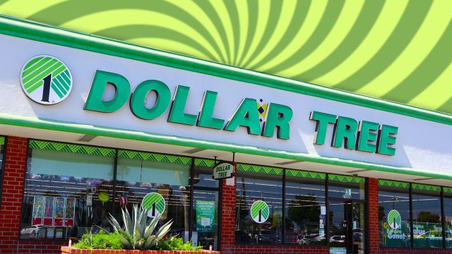 Los Angeles, California – June 27, 2024: DOLLAR TREE Store, American chain of discount variety stores that sells items for 1 dollar or less